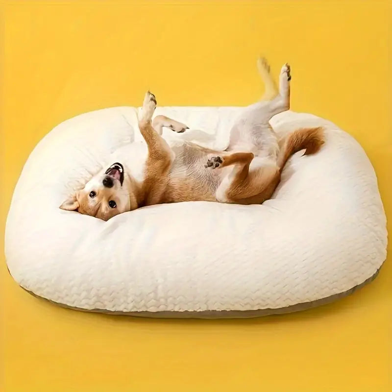 dog bed
