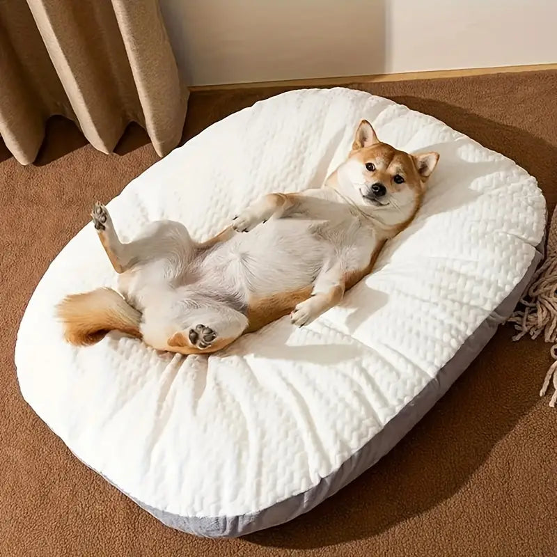 dog bed