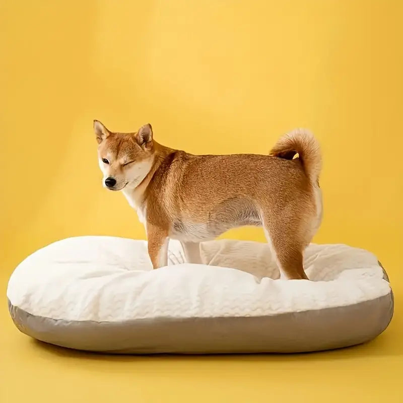 Thick Cushion Dog Bed