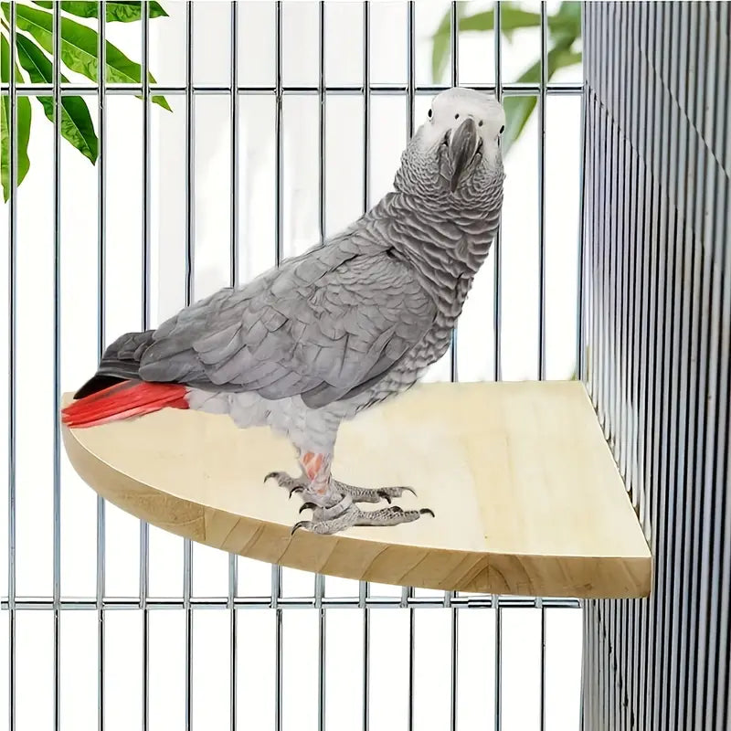 Ultimate Corner Bird Perch Stand