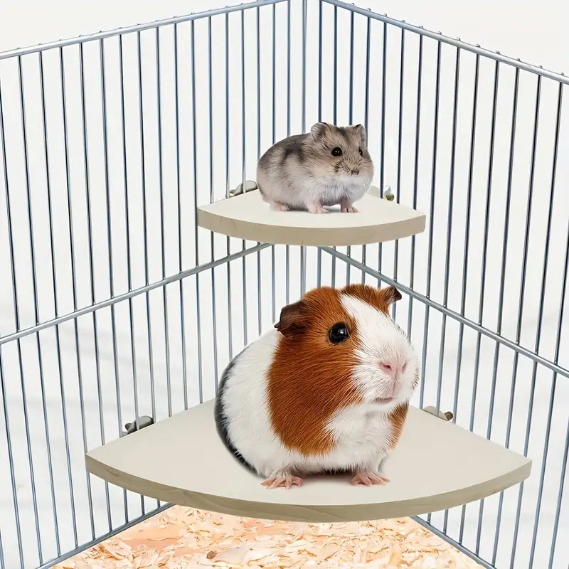 Ultimate Corner Bird Perch Stand