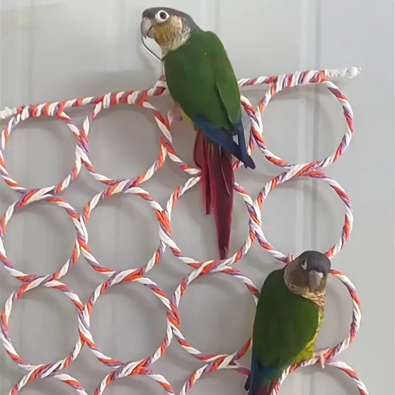 Vibrant Parrot Climbing Vine Toy