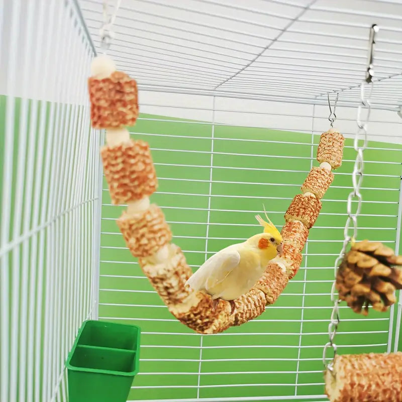 2pcs Natural Parrot Bird Cage Accessories Kit