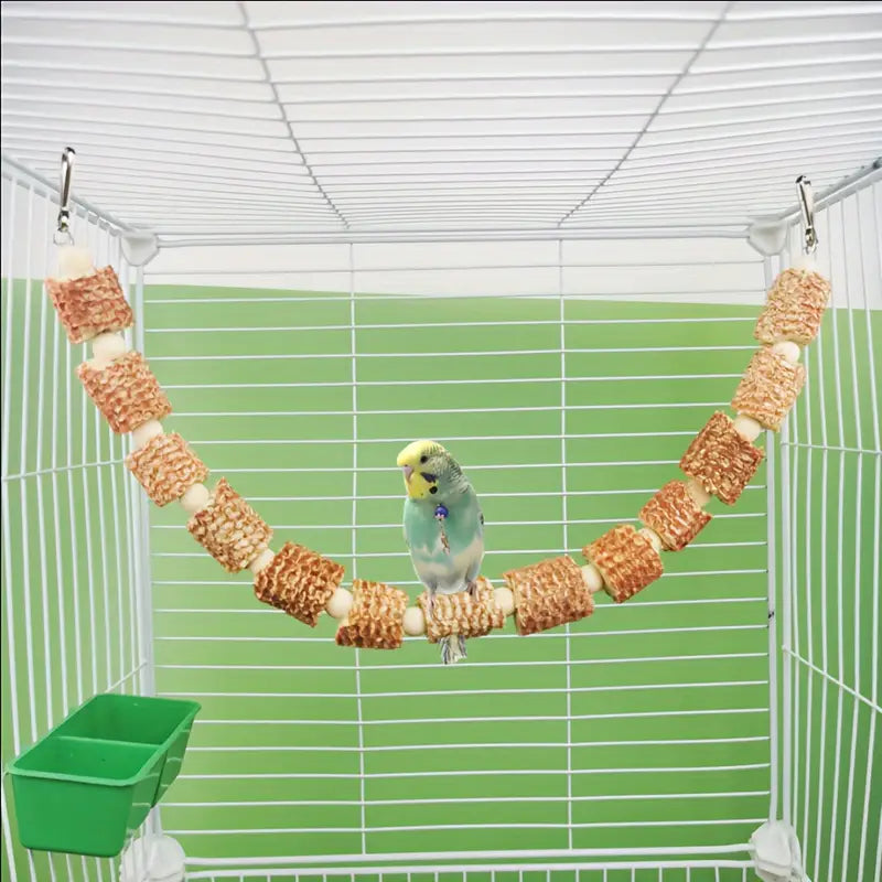 2pcs Natural Parrot Bird Cage Accessories Kit