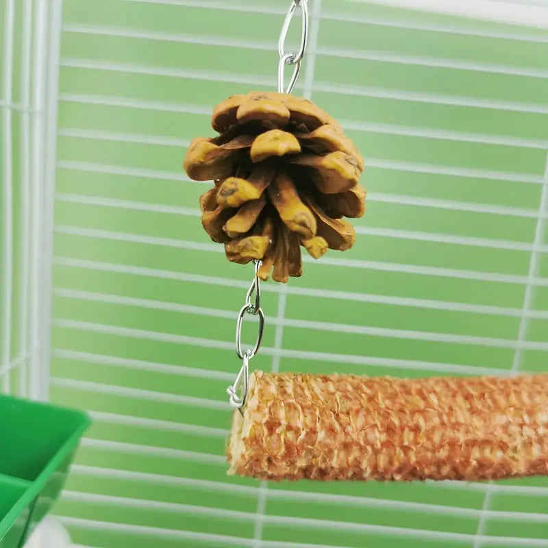 2pcs Natural Parrot Bird Cage Accessories Kit