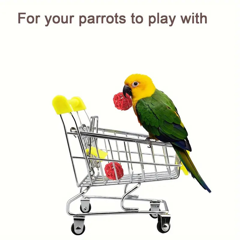 5pcs Bird Toy Set