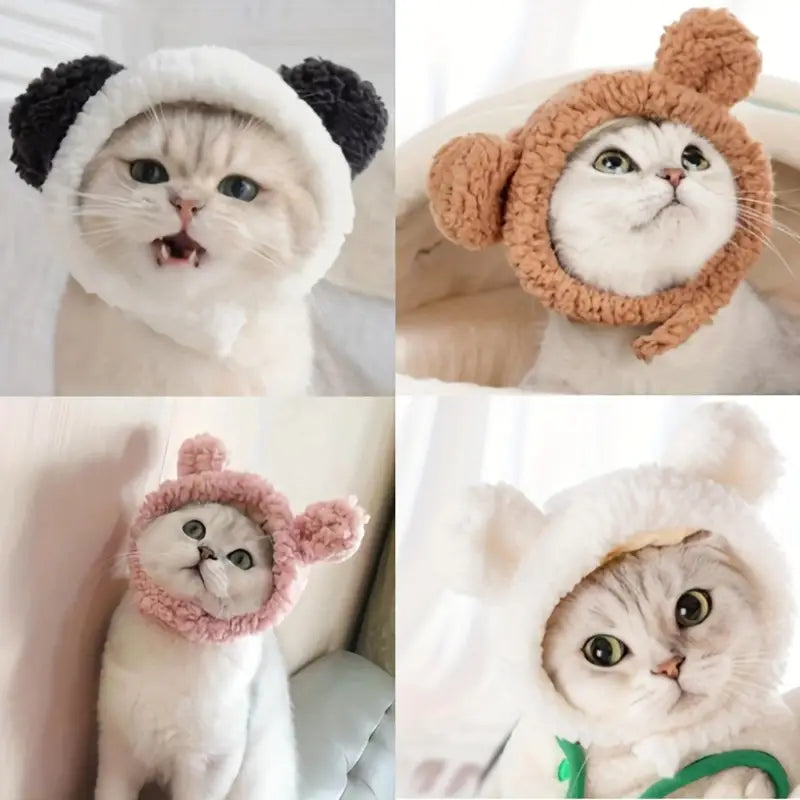 Cat Hat
