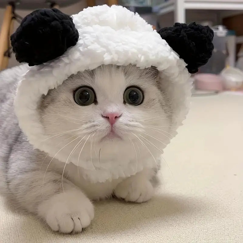 Cat Hat