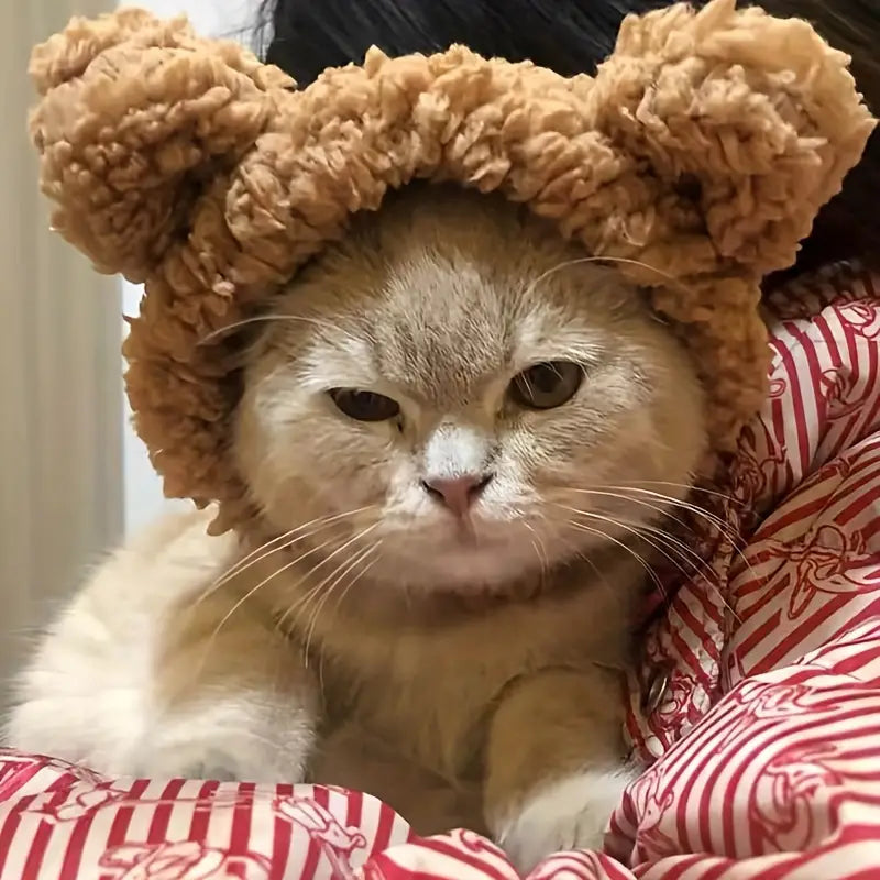 Cat Hat