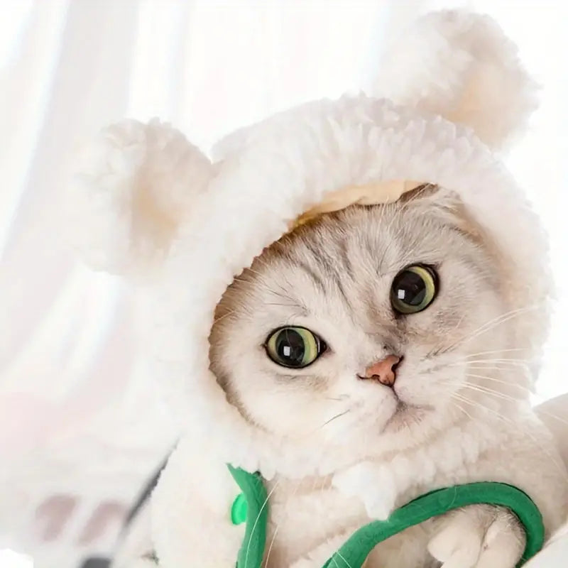 Cat Hat