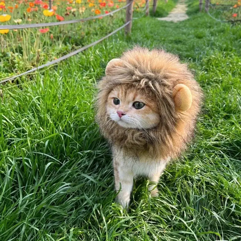 Lion Mane Costume for Cats