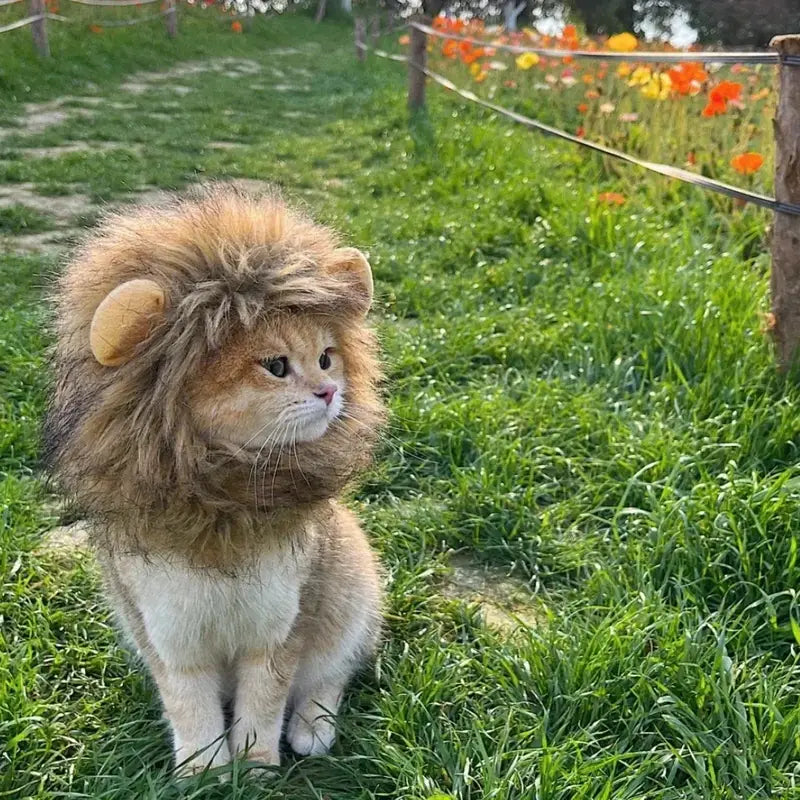Lion Mane Costume for Cats