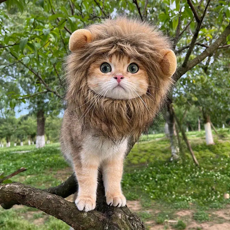 Lion Mane Costume for Cats