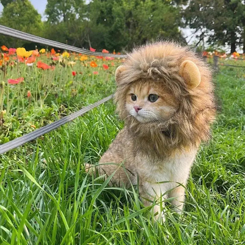 Lion Mane Costume for Cats