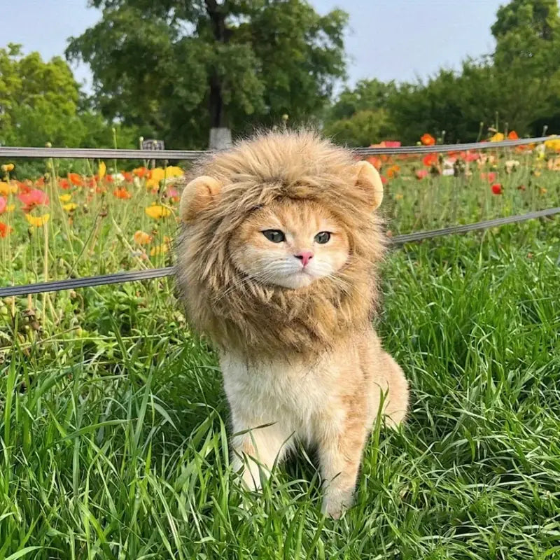 Lion Mane Costume for Cats