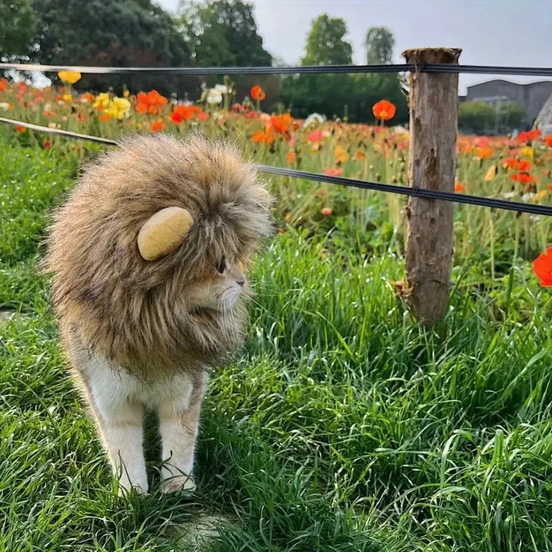 Lion Mane Costume for Cats