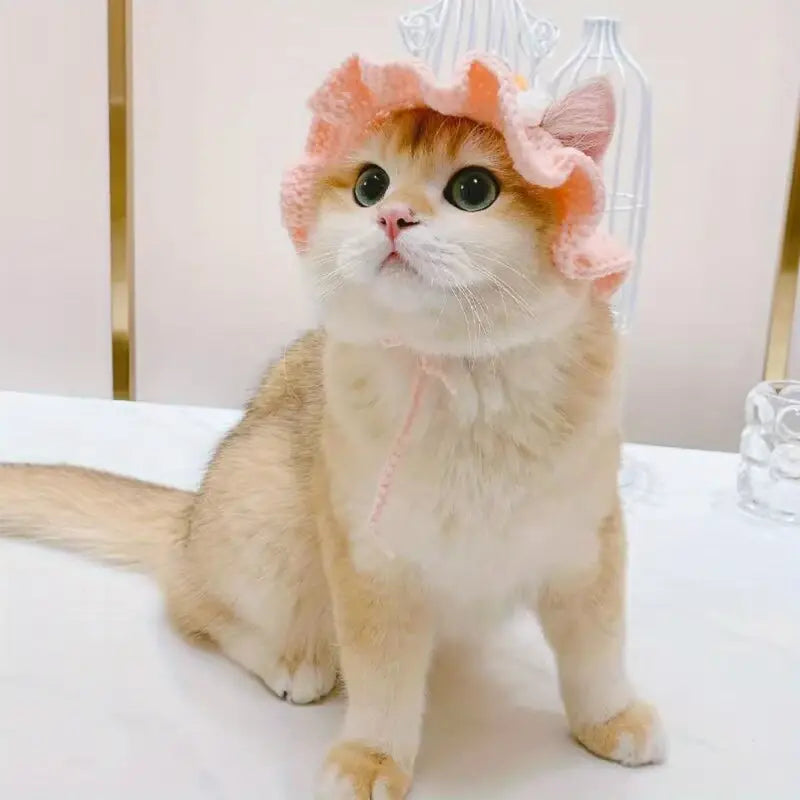 Cozy Pink Flower Cat Hat