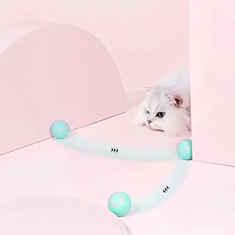 Smart Cat Ball