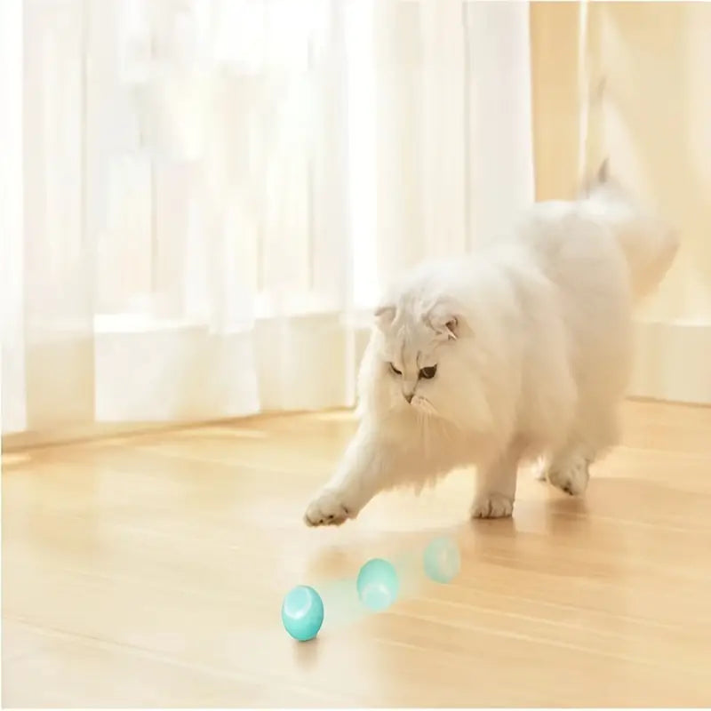 Smart Cat Ball