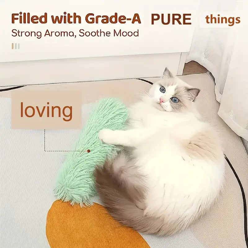 Cat Kicking Toy with Sand Sound