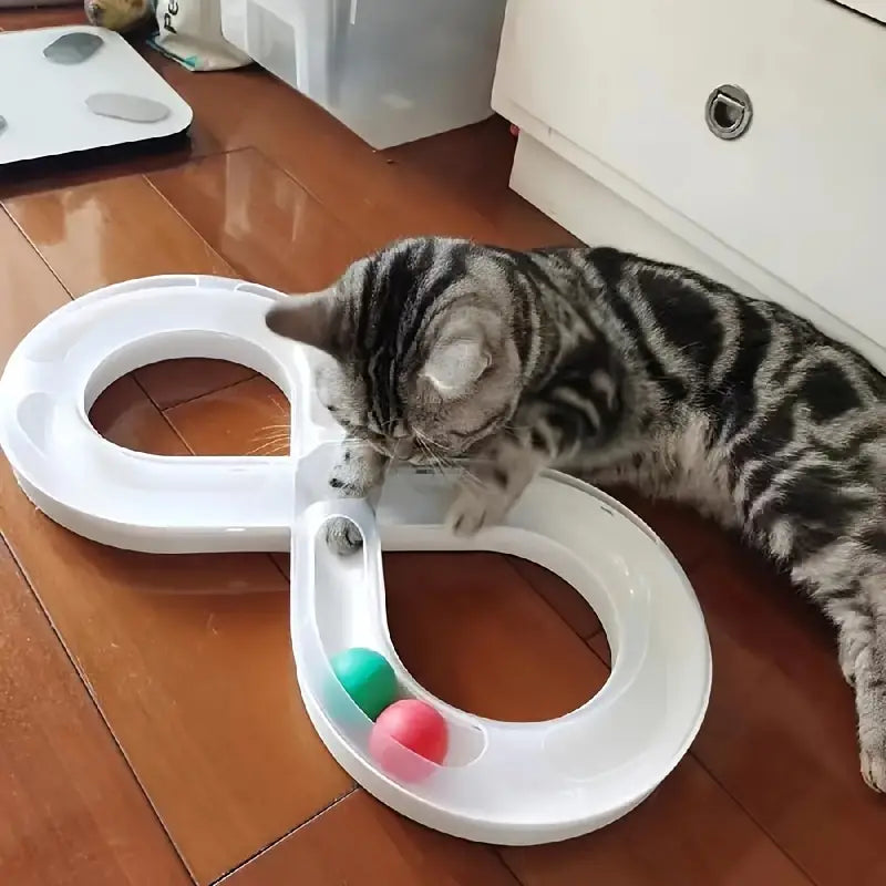 Cat Turntable Track