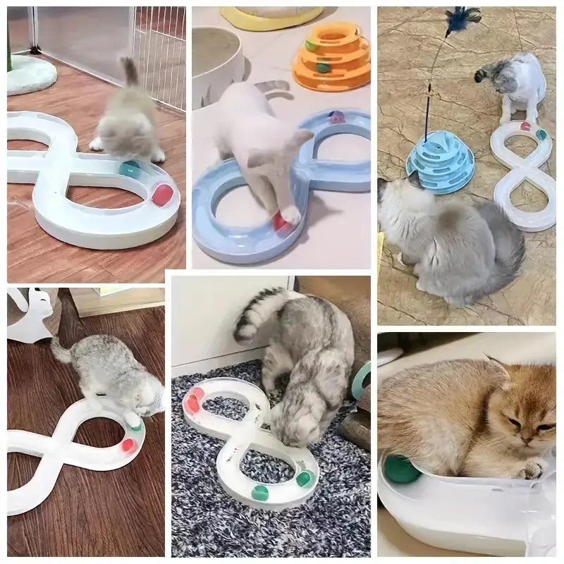 Cat Turntable Track