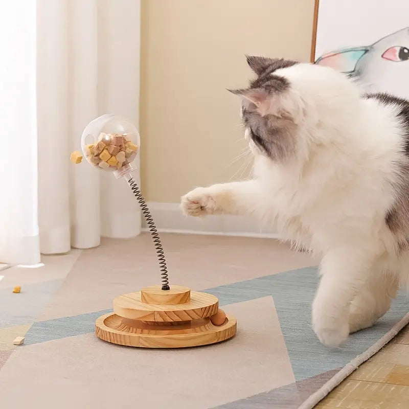 Cat IQ toy