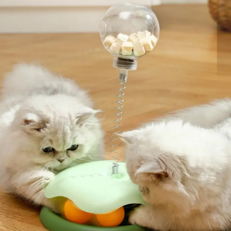 Cat Turntable - Slow Feeder