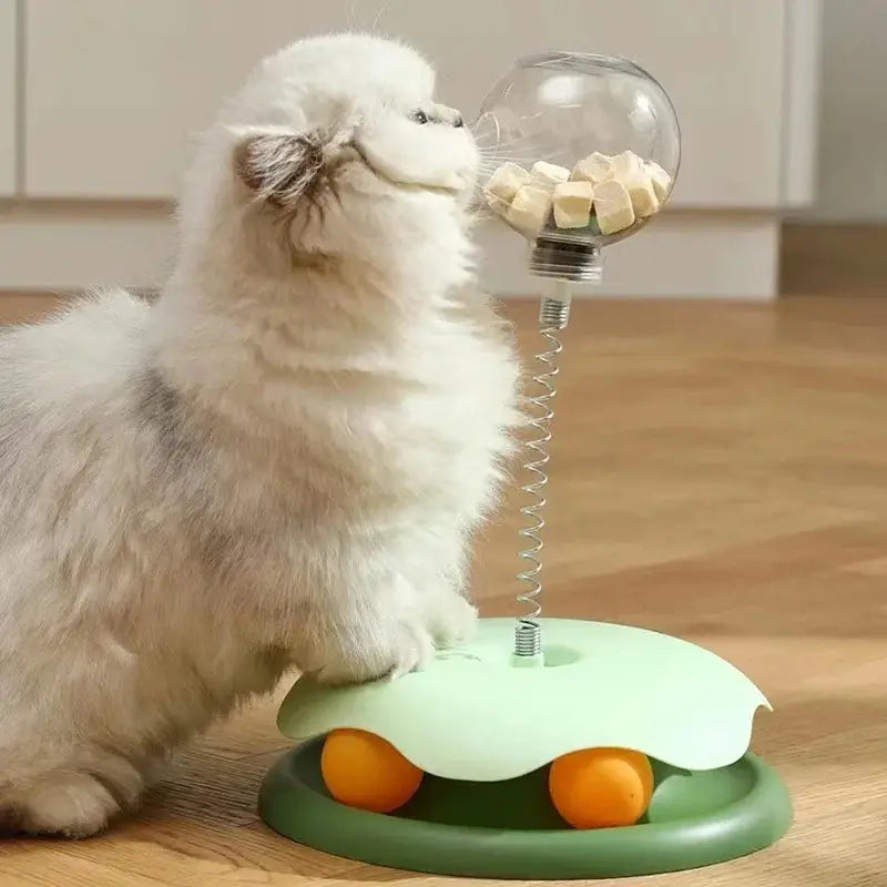 Cat Turntable - Slow Feeder