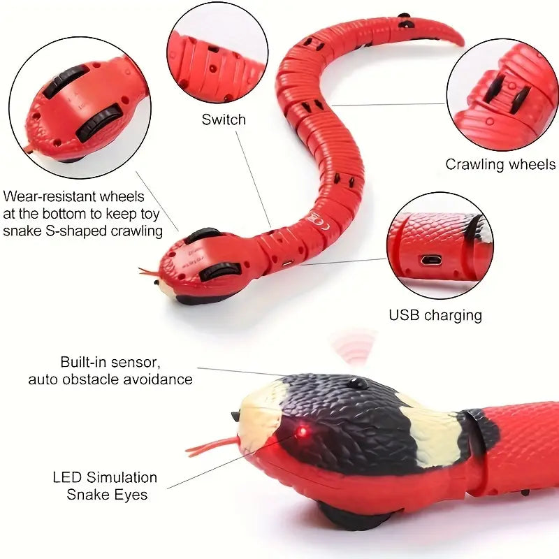 Electric Snake Toy