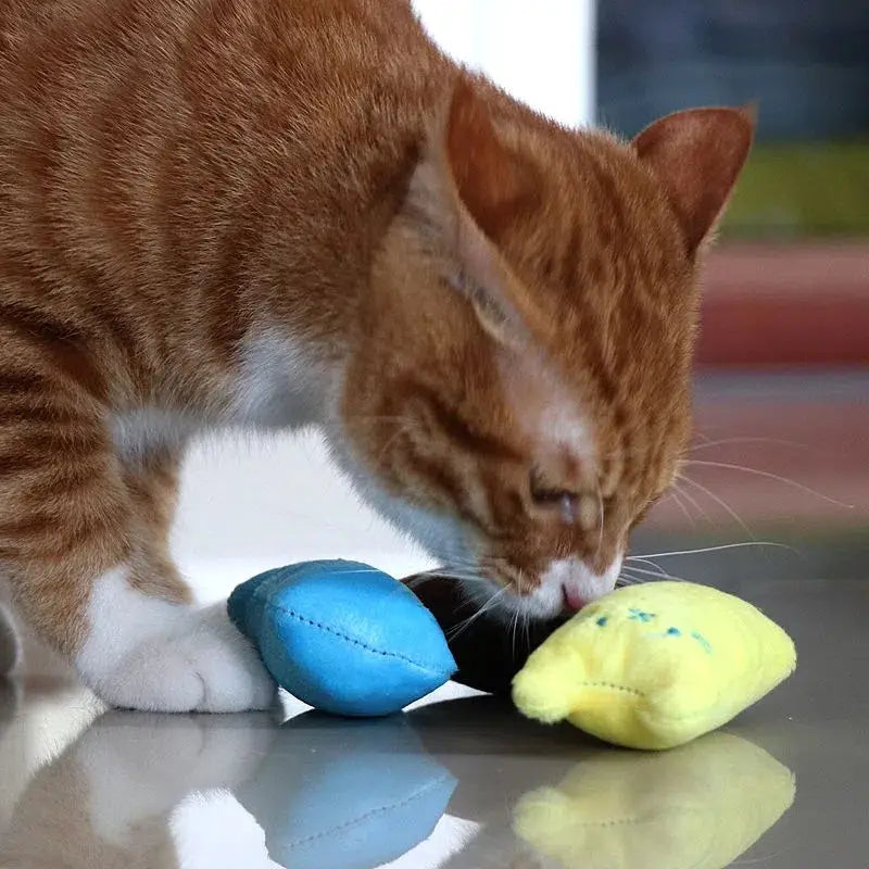 Cat Design Squeaky Plush Pillow