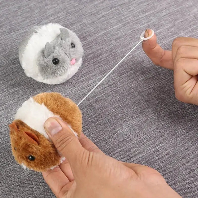 Whimsy Whisker Wizard Cat Toy