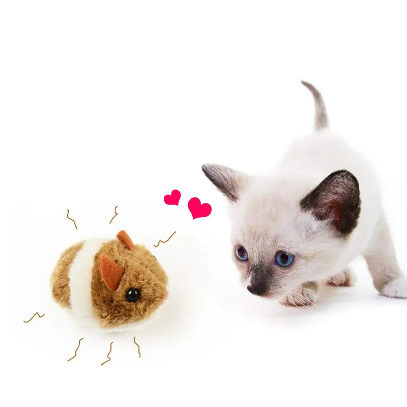 Whimsy Whisker Wizard Cat Toy