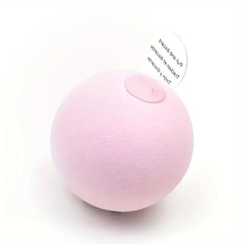 Cat Ball With Sound