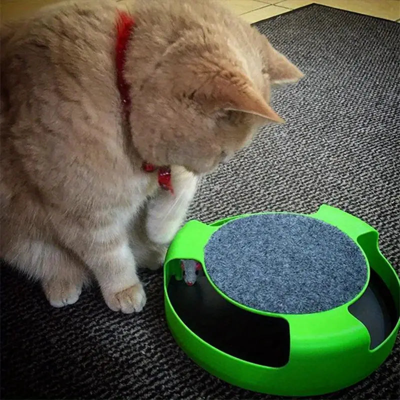 Turntable Cat Toy