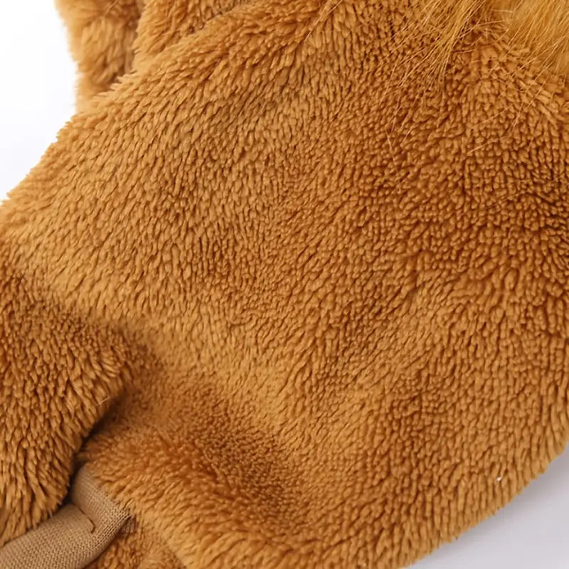 Lion Costume