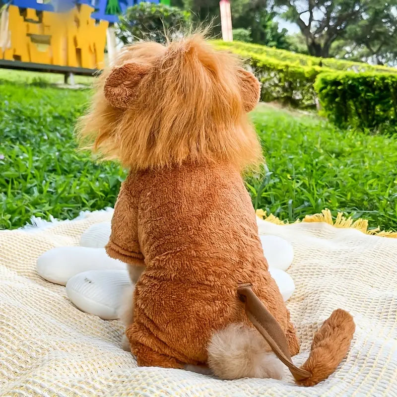 Lion Costume