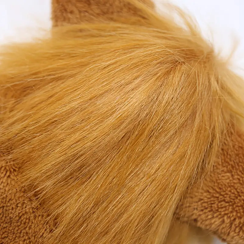 Lion Costume