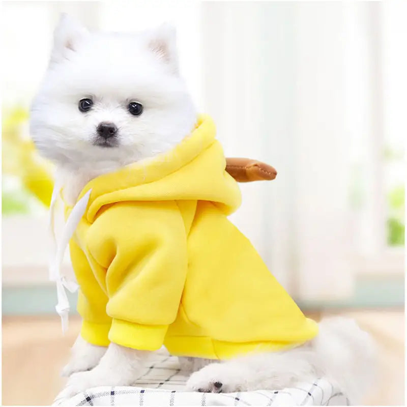 Cozy Fruit Pattern Dog Hoodie