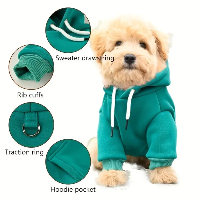 Hoodie with Back Pocket