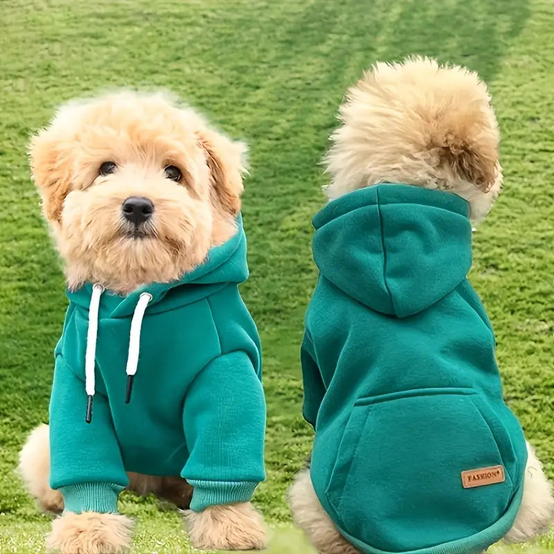 Hoodie with Back Pocket