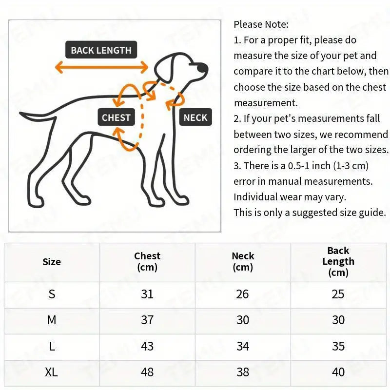 Hoodie with Back Pocket