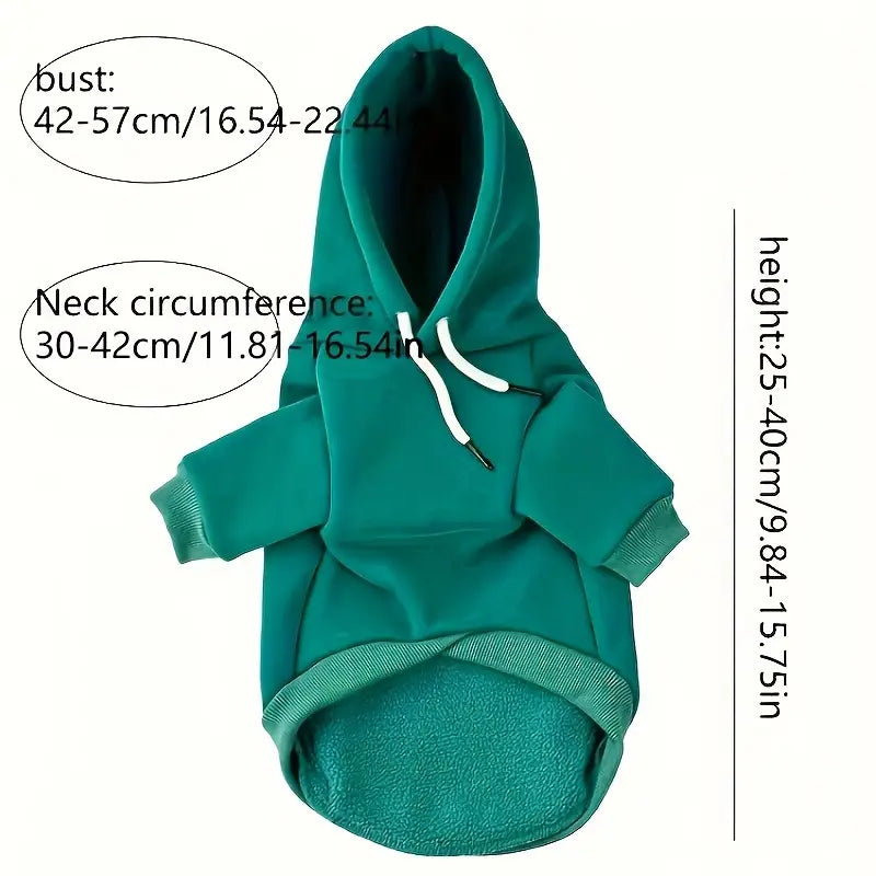 Hoodie with Back Pocket