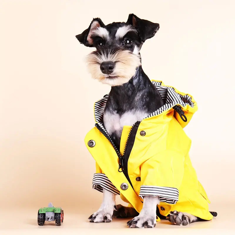 Zip-up Waterproof Yellow Jacket