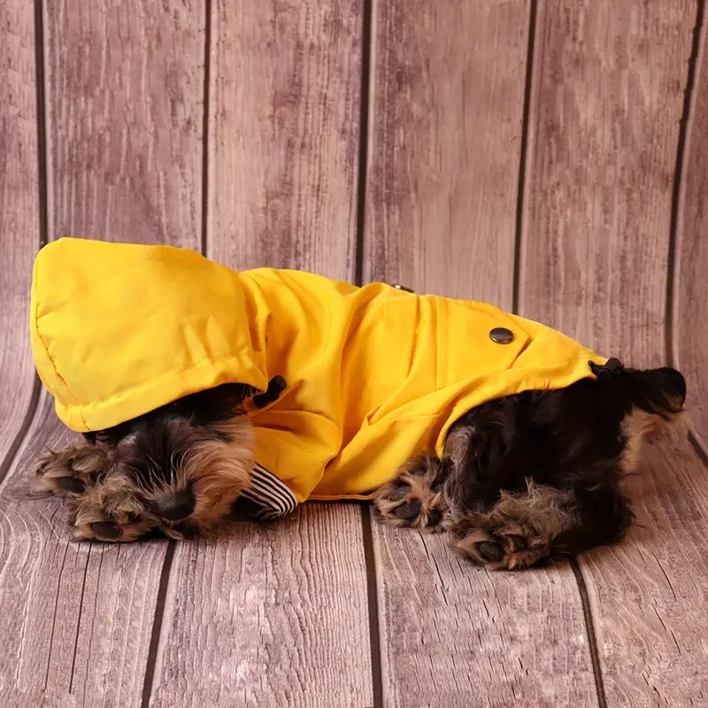 Zip-up Waterproof Yellow Jacket