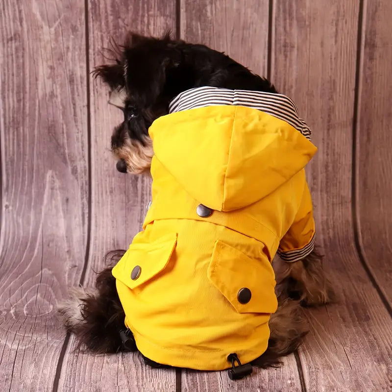 Zip-up Waterproof Yellow Jacket