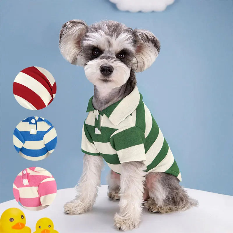 Summer Stripe Two-Legged Dog Tee Shirt