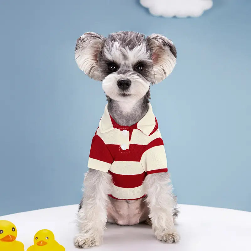 Summer Stripe Two-Legged Dog Tee Shirt