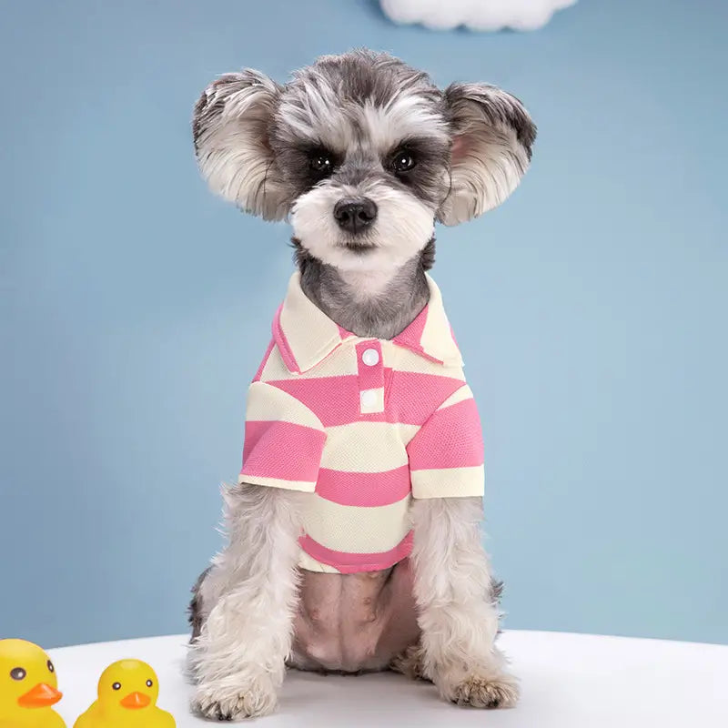 Summer Stripe Two-Legged Dog Tee Shirt