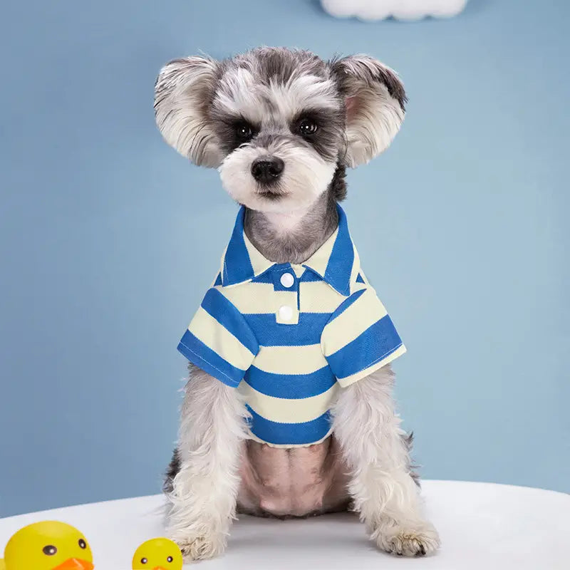 Summer Stripe Two-Legged Dog Tee Shirt